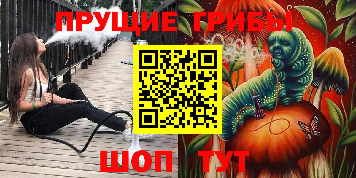 цена наркотик  Ессентуки  Галлюциногенные грибы Cubensis 