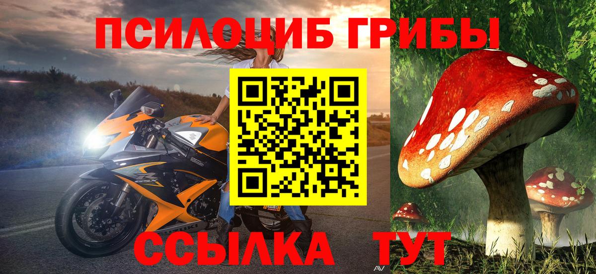 Галлюциногенные грибы Cubensis  Псилоцибиновые грибы Psilocybe  Вход с VPN  Ессентуки 