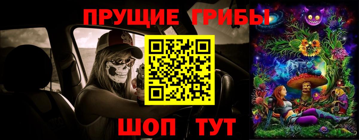 Псилоцибиновые грибы GOLDEN TEACHER Ессентуки