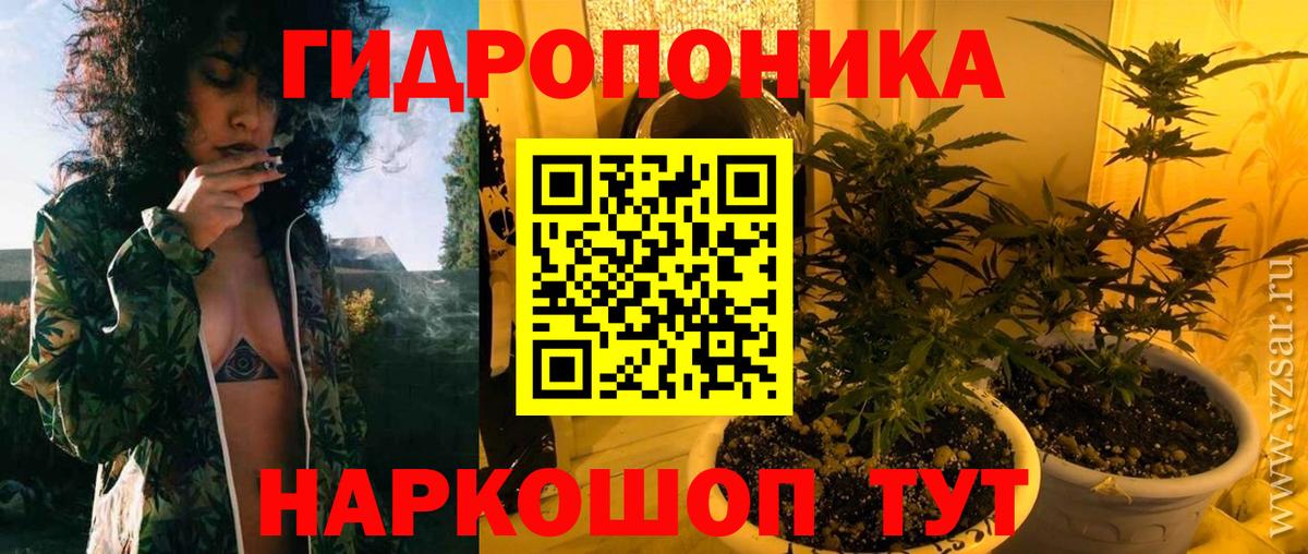 Каннабис марихуана  Ессентуки  Шишки марихуана планчик 